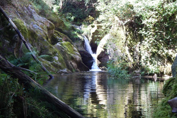 Oliveira De Frades Viver No Centro De Portugal 